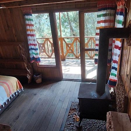 Cabana En El Bosque De San Jose Del Pacifico 3 외부 사진