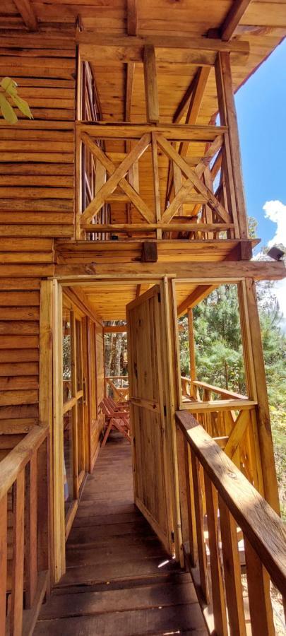 Cabana En El Bosque De San Jose Del Pacifico 3 외부 사진