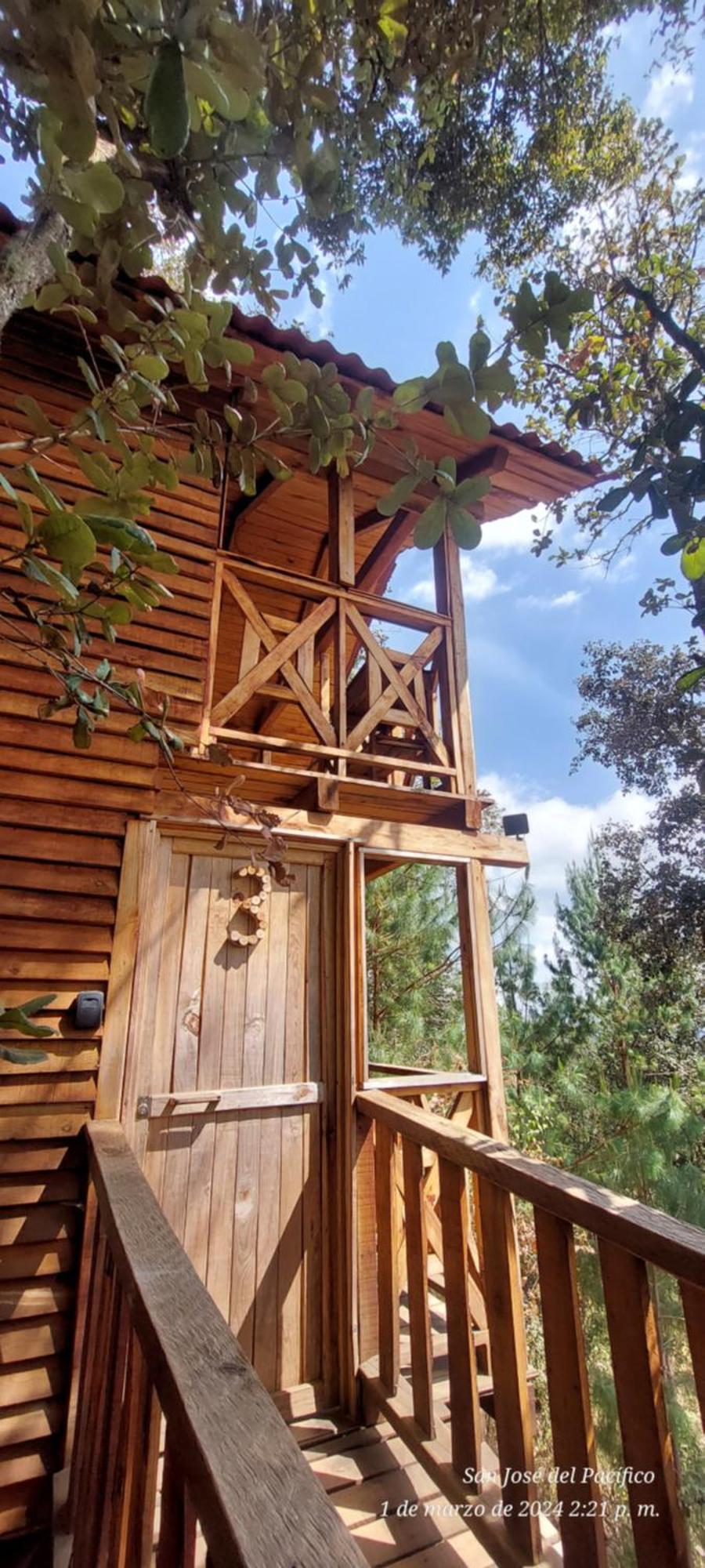 Cabana En El Bosque De San Jose Del Pacifico 3 외부 사진